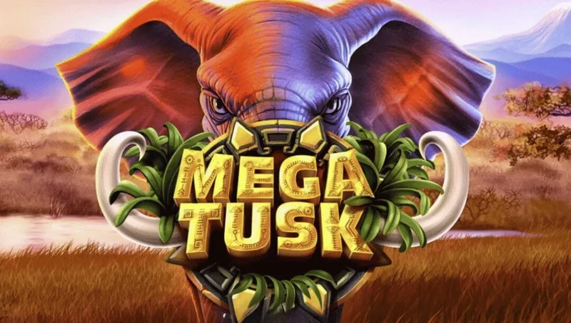 Tusk Casino player reviews South Africa